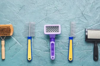 What Grooming Tools Are Essential for Long-Haired Dogs?