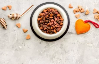 What Should You Look for in High-Quality Cat Treats?