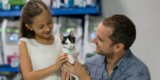 The Ultimate Checklist for Adopting a Rescue Cat
