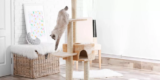 Should You Get a Cat Tree for Your Indoor Cat?